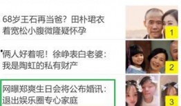 娱乐圈爆料模板最新网站,揭秘明星背后的惊人真相！