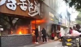 快餐爆料视频大全集最新,揭秘美食背后的秘密与真相