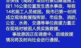 最新爆料出炉事件新闻,揭秘事件背后惊人真相