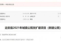 远安最新爆料消息,揭秘神秘事件背后的惊人真相