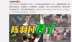 爆料四川富商事件视频最新,视频爆料揭开惊人真相
